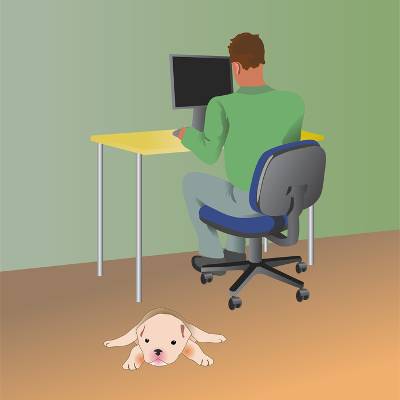 6 Reasons Why Working from Home Just Doesn't Work