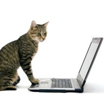 Cat Tech Support: You’ve Gotta Be Kitten Me!