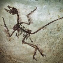 Jurassic World in 3D is Nothing New for These Scientist